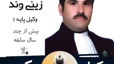 هادی زینی وند