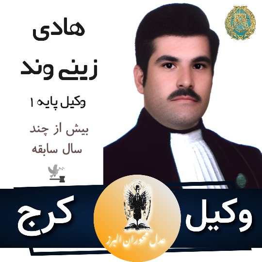 هادی زینی وند