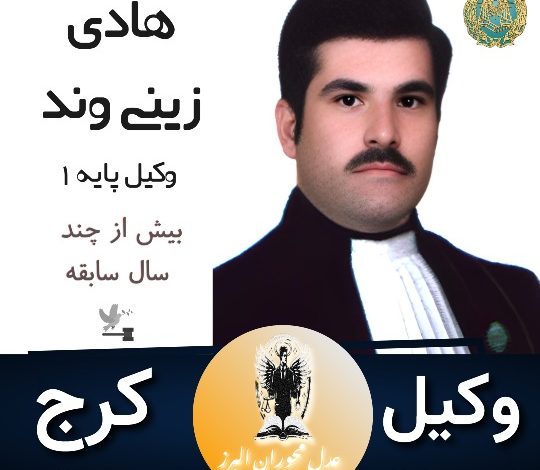 هادی زینی وند